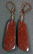 Bright Red Agatized Dinosaur Bone Earrings #5250-5